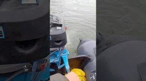 ветерок гибрид лифан