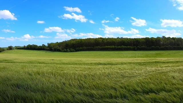 Красивое чтение Корана عبدالله الموسي смотреть онлайн