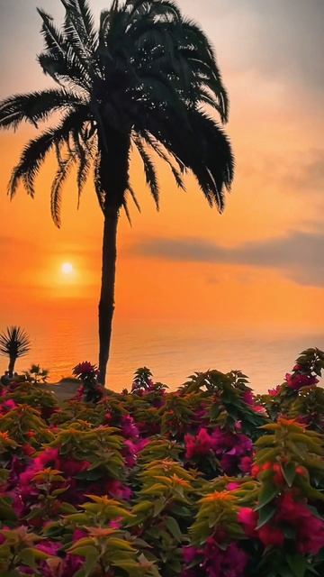 Туристическая компания В поисках приключений. Закал в Лиме