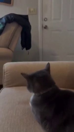 🤣🤣🤣
подписывайтесь на перчик🌶🌶 тут всё для хорошего настроения☺☺☺