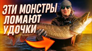 КАЖДЫЙ заброс в ЭТУ ТОЧКУ УВЕЛИЧИВАЕТ размер ЩУКИ / ХЛЕБНУЛИ ВОДЫ в ВОЛНЕ