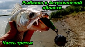 Рыбалка в Астраханской области. Часть третья.