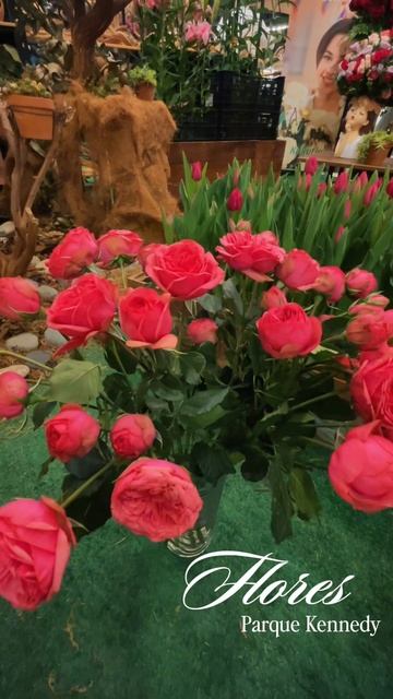 Copy_69F60084-05DA-482B-95ED-C1DF8FEB46A2