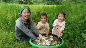 Ловлю карпа для продажи на рынке. Готовлю рыбу гриль. Рыбный ужин с детьми. Жизнь во Вьетнаме