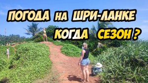 Погода на Шри-Ланке. Когда сезон?