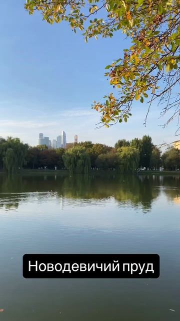 Новодевичий пруд смотреть онлайн
