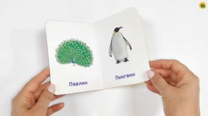 КНИГА. ДЛЯ МАЛЫШЕЙ. ДИКИЕ ЖИВОТНЫЕ