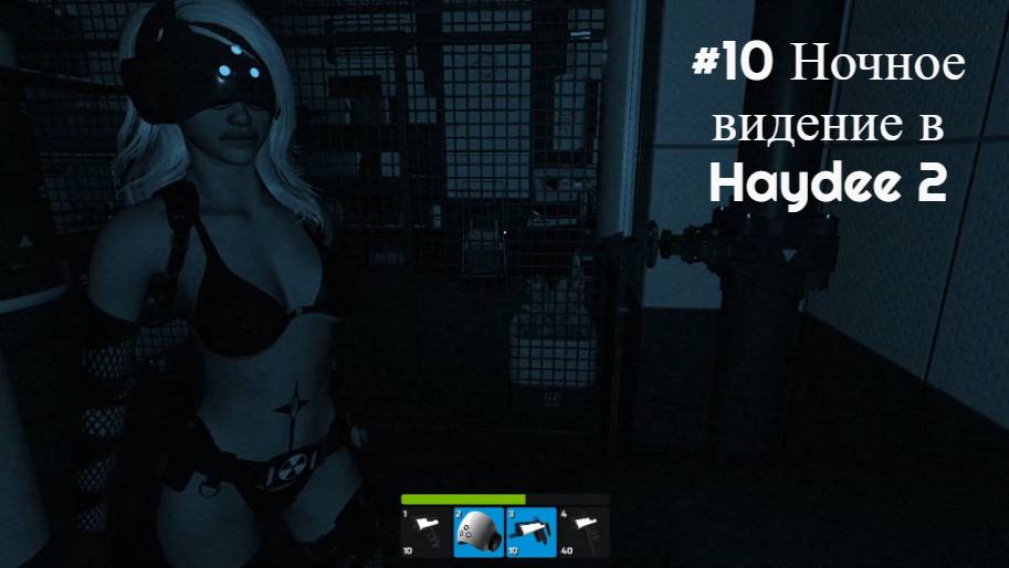 #10 Ночное видение в Haydee 2