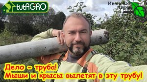 МЫШИ и КРЫСЫ НЕ СПАСУТСЯ - ВЫЛЕТЯТ В ТРУБУ! Эта труба поможет избавиться от грызунов в саду и дома.