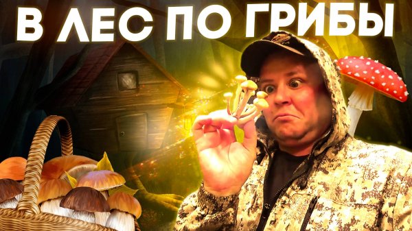 ПОХОД ЗА ГРИБАМИ / ДЕЛАЕМ ЗАКРУТКИ НА ЗИМУ!!!