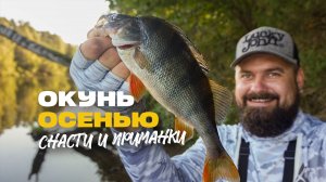 Разные Приманки и Снасти на Окуня На Что Ловить Осенью на Спиннинг