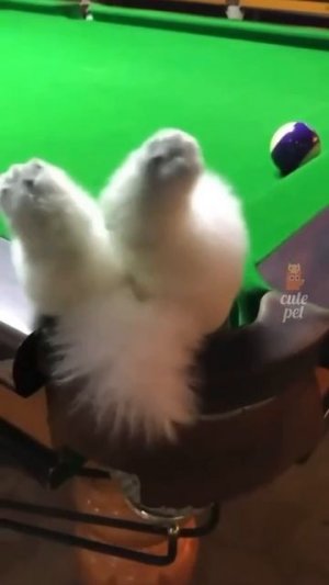 Хорошего денька!