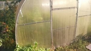 Сентябреет, а в теплицах - холоднеет...