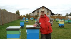 Какую породу выбрать для приусадебной пасеки. Часть 2. Бакфаст - Карника.