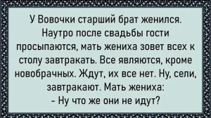 Как Иваныч застукал Петровича! Сборник свежих анекдотов! Юмор