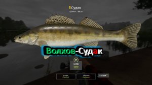 Русская рыбалка 4-Волхов-трофейный судак