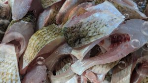 Консервы из плотвы в томате и с маслом.