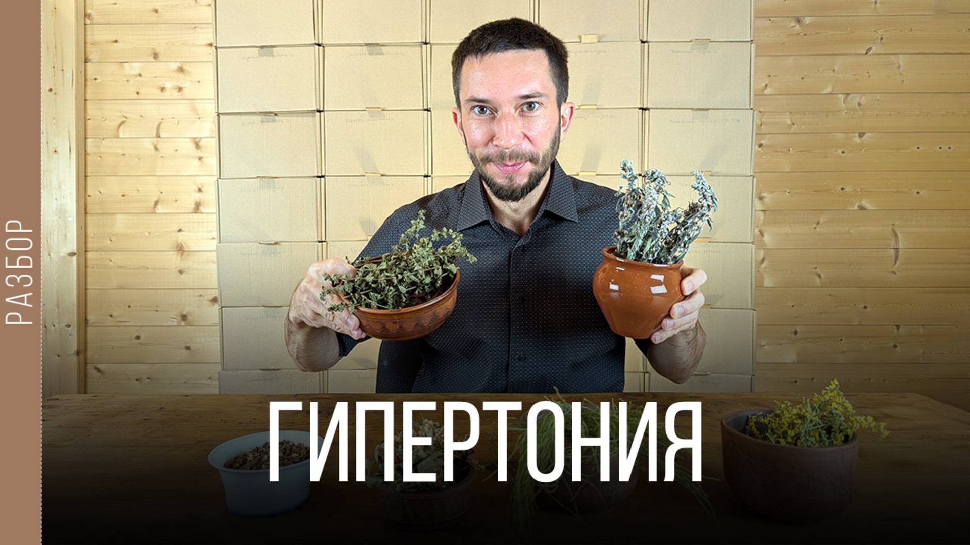 Травы от давления. Лекарственный сбор от гипертонии смотреть онлайн