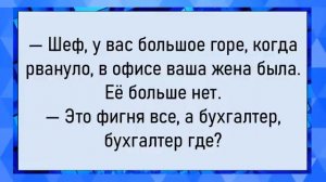 Как кума споила кума! Сборник свежих анекдотов! Юмор
