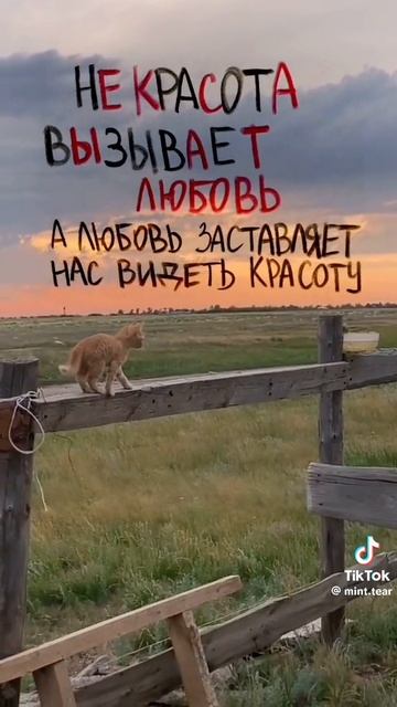 окак смотреть онлайн