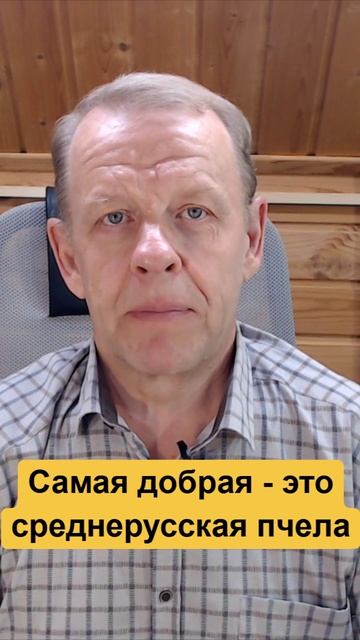 Мифы о среднерусской пчеле, что они злые, это ложная информация смотреть онлайн