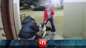 «ЧП»: 25 сентября 2025 года | «Чрезвычайное происшествие» на НТВ