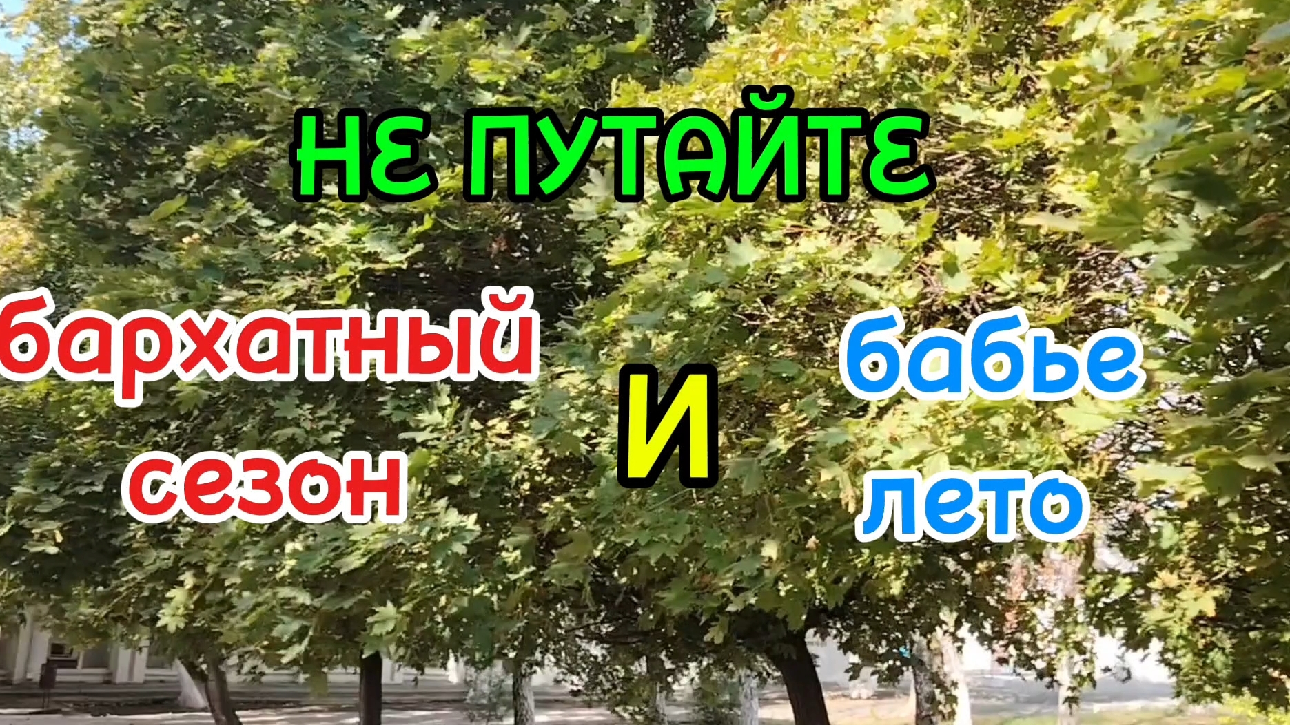 Ейск ! За два дня документы сдала ! Бархотный сезон и бабье лето - это одно и тоже? Про комментарии. смотреть онлайн