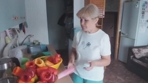 ИЗ ГОРОДА В ДЕРЕВНЮ. Хроника дня.