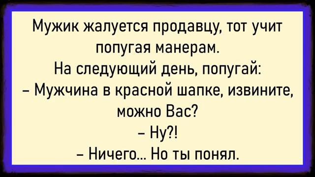 Как дедуля не выдержал! Сборник свежих анекдотов! Юмор смотреть онлайн