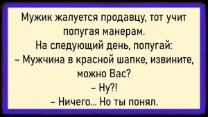 Как дедуля не выдержал! Сборник свежих анекдотов! Юмор