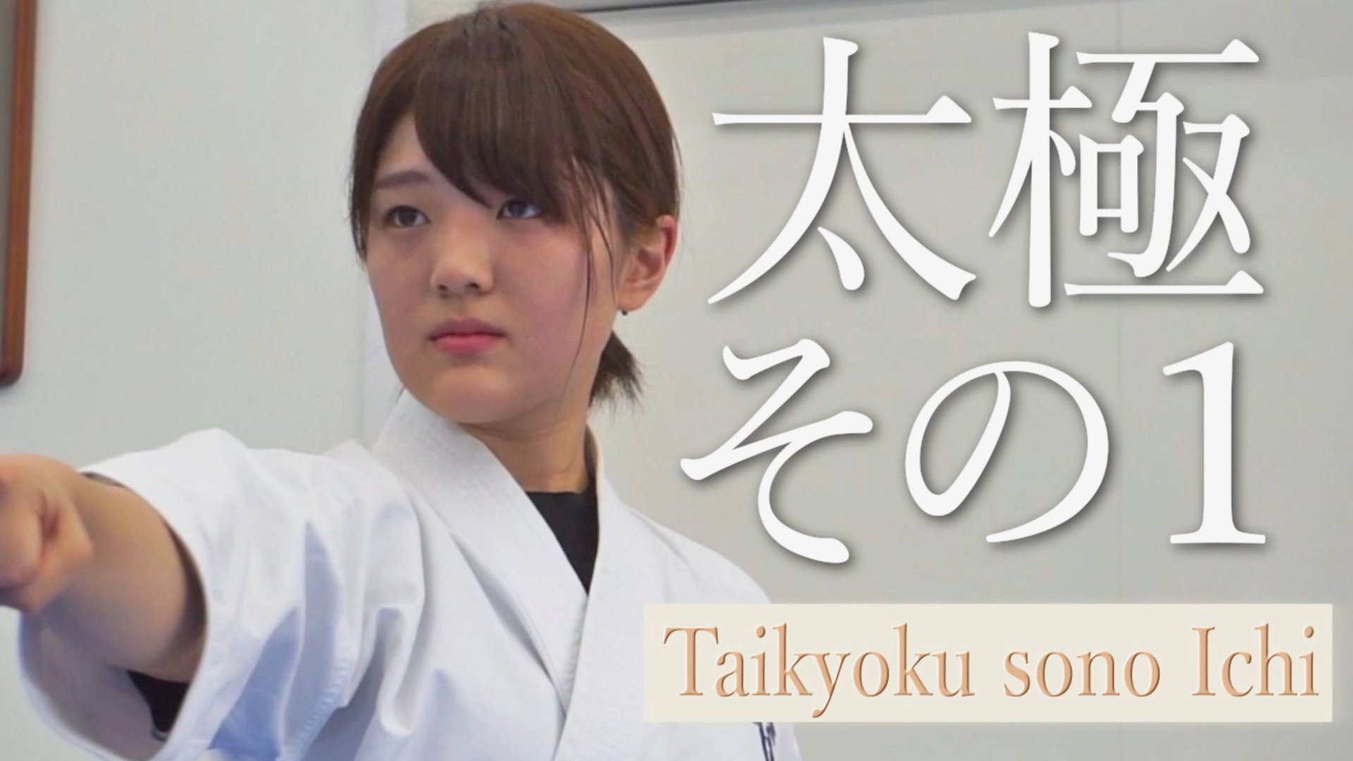 Тайкиоку Соно Ичи - Ката Карате Кёкусинкай (Kyokushin Karate Kata - Taikyoku Sono Ichi - 太極その１) v.2 смотреть онлайн