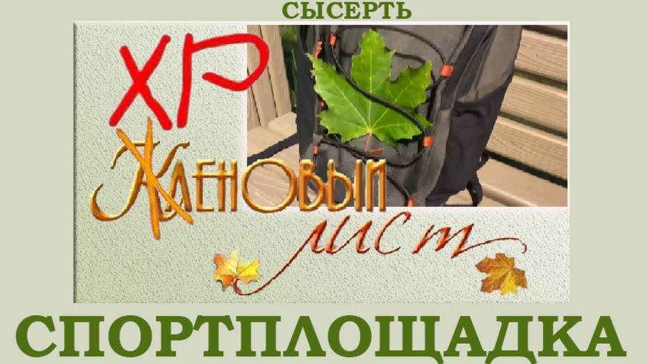 Тренажёрный зал " Кленовый ". Сысерть. ( спортплощадка на открытом воздухе )