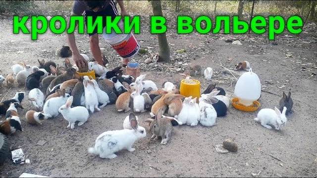 Всё-таки мы решились)))