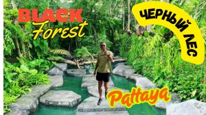 Black Forest Pattaya.  Черный лес.  Паттайя