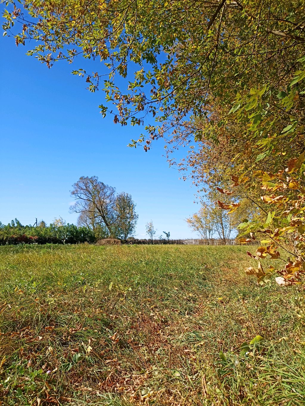 Осенью в селе🏡