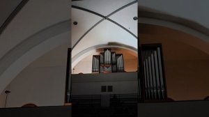 Органный концерт в Петрикирхе, органист Ирина Розанова, орган Willi Peter, 2025