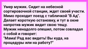 АНЕКДОТЫ! В Кабинете Уролога. Сборник Смешных Анекдотов! Выпуск 40