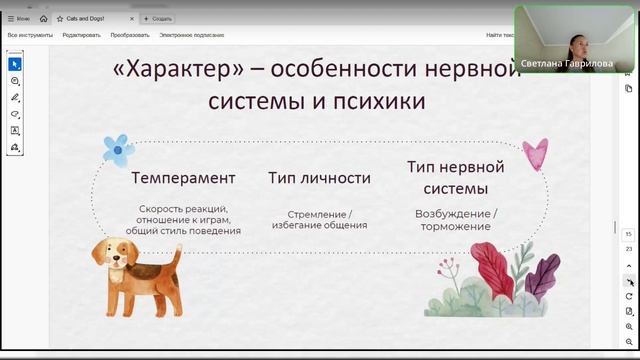 Как кошка с собакой смотреть онлайн