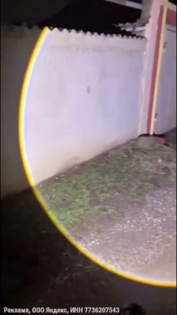 Тактический Фонарь смотреть онлайн