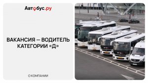 Вакансия водителя категории «Д» Автобус.ру