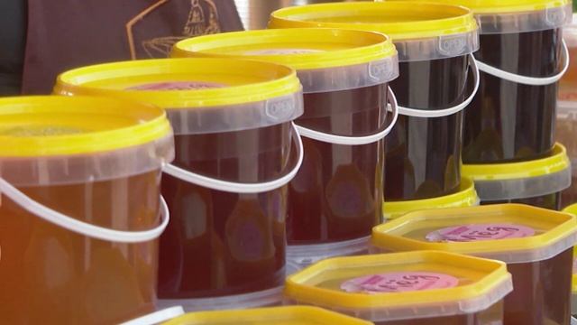 Около 45 тысяч гостей собрал Фестиваль туризма в Хабаровске смотреть онлайн