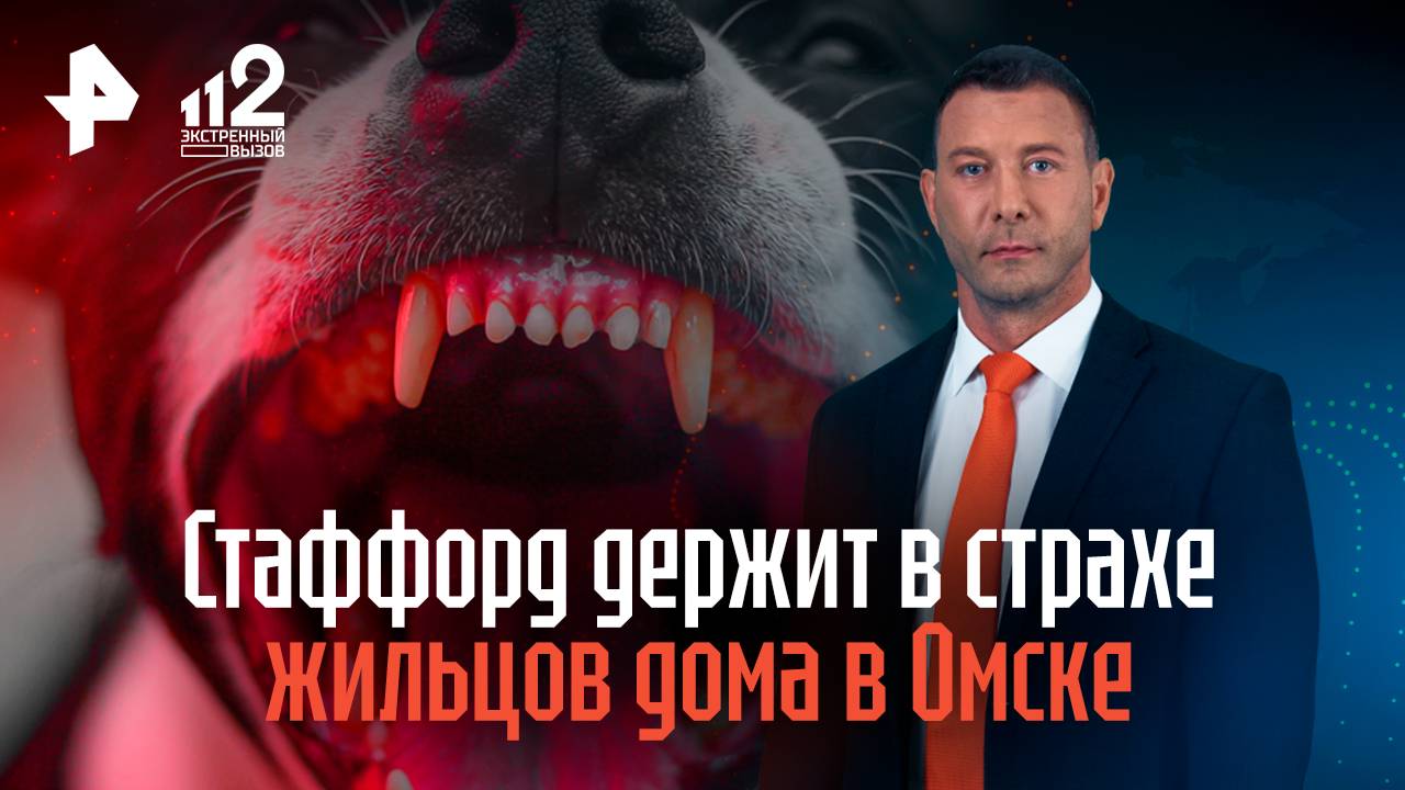 Стаффорд держит в страхе жильцов дома в Омске смотреть онлайн