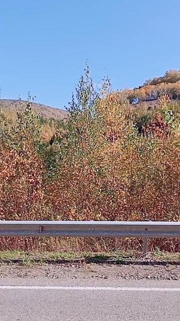 Осень в Белокурихе