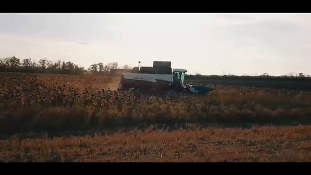 Уборка подсолнечника жаткой Harvester от Энергон Агро смотреть онлайн