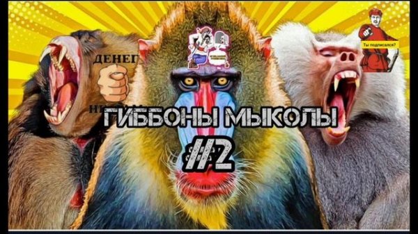 ГИББОНЫ & МЫКОЛЫ # 2