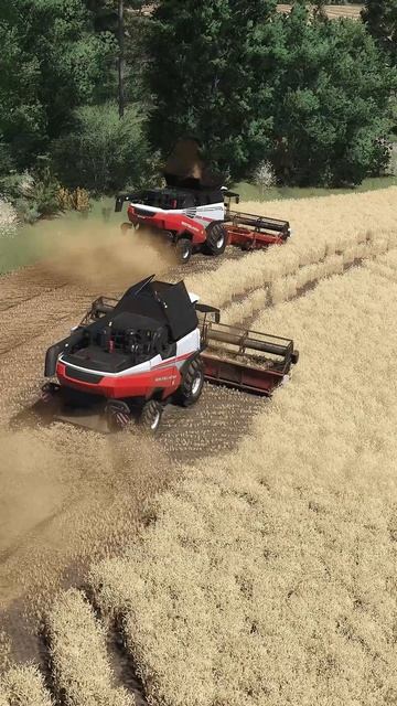 FS25, RSM161, Торум 770 смотреть онлайн