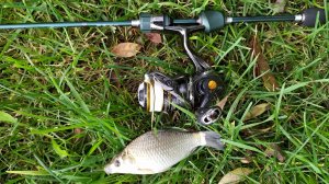 Пробный выход с DAYO Prestige 175 (0,2-0,8гр)