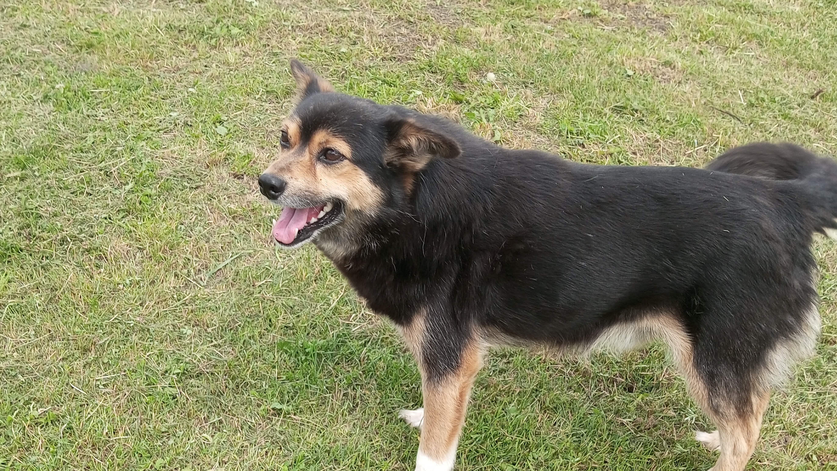 я снимала этот vlog☆ давно смотреть онлайн