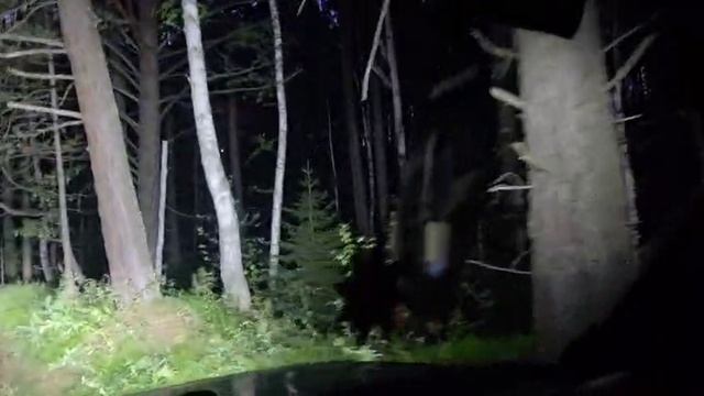 Сузуки эскудо -синий квадрат