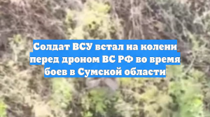 Солдат ВСУ встал на колени перед дроном ВС РФ во время боев в Сумской области